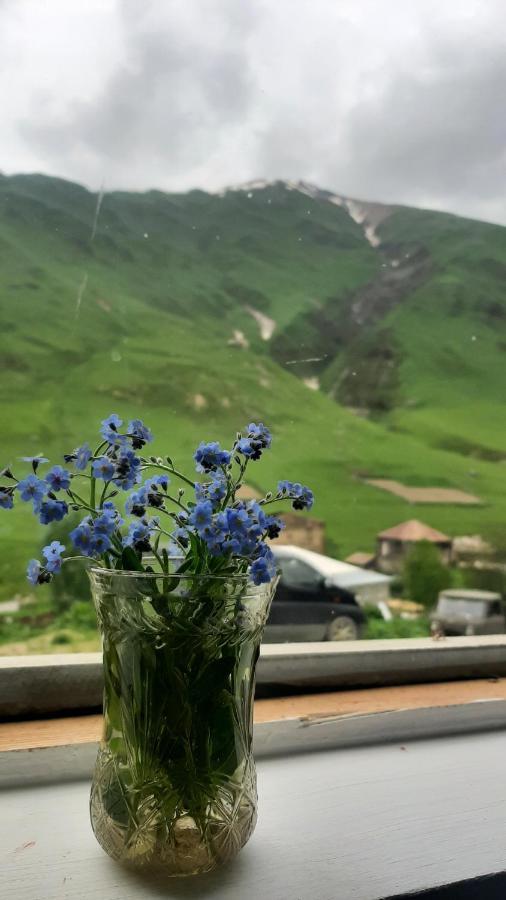 Guesthouse Svanuri Sakhli 위시굴리 외부 사진